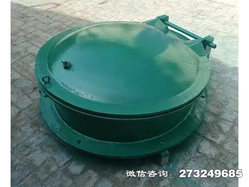 徐汇铸铁圆型一体化泵站拍门