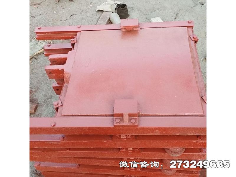 广平防倒灌铸铁方闸门